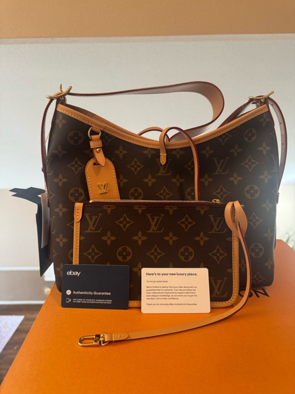 Louis Vuitton carry all pm shoulder bag